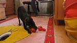     
: IMG_0057.jpg
: 30
:	114.4 
ID:	2122161