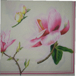     
: 903.gif
: 10
:	100.9 
ID:	2125565