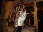     
: DSC03437.jpg
: 36
:	124.8 
ID:	2127447