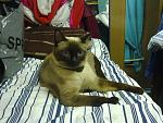     
: 291020102541.jpg
: 21
:	148.4 
ID:	2127523