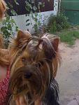     
: IMG_0368.jpg
: 29
:	107.9 
ID:	2127556