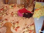     
: DSC04547.JPG
: 71
:	289.6 
ID:	2129307