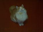     
: 19012011477.jpg
: 13
:	86.1 
ID:	2132147