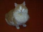     
: 19012011475.jpg
: 12
:	89.9 
ID:	2132148