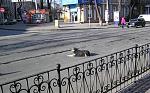     
: P1010001.jpg
: 98
:	129.1 
ID:	213231