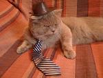     
: IMG_0638.JPG
: 46
:	77.8 
ID:	213290