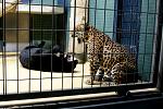     
: DSC00126.JPG
: 19
:	130.2 
ID:	2133764