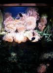     
: DSC00281.JPG
: 20
:	134.1 
ID:	2133765