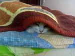     
: x_e3b9ec6b.jpg
: 9
:	47.6 
ID:	2136797