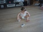     
: P1022928.jpg
: 56
:	95.2 
ID:	2139200