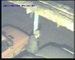     
: 20110120-045807-00.JPG
: 196
:	60.3 
ID:	2139490