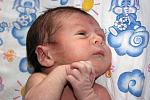     
: IMG_4030.jpg
: 52
:	102.5 
ID:	2139649