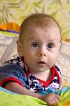     
: IMG_4431.jpg
: 31
:	70.2 
ID:	2139669
