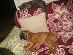     
: IMG_3692.jpg
: 36
:	183.5 
ID:	2139973