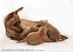     
: _MG_1247-1.jpg
: 18
:	128.9 
ID:	2141760