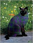     
: кошки3.jpg
: 28
:	64.3 
ID:	2141780