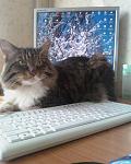    
: IMG054-01.jpg
: 48
:	106.6 
ID:	2143524
