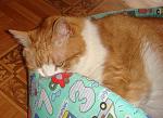     
: DSC02714.jpg
: 18
:	93.4 
ID:	2143582