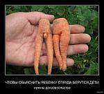     
: 1295285575_1.jpg
: 52
:	36.7 
ID:	2144612