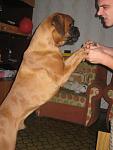     
: IMG_3915.jpg
: 43
:	79.3 
ID:	2145574