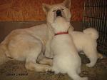     
: dla obrabotki 027-1.jpg
: 57
:	121.1 
ID:	2147014