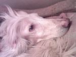     
: SP_A0266.jpg
: 16
:	163.4 
ID:	2151770