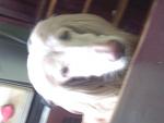     
: SP_A0282.jpg
: 13
:	56.8 
ID:	2151776