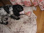     
: IMG_6.jpg
: 220
:	197.0 
ID:	2151783