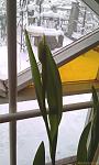     
: IMAG0607.jpg
: 10
:	71.3 
ID:	2151784