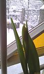     
: IMAG0608.jpg
: 8
:	63.7 
ID:	2151785