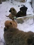     
: DSC01096.jpg
: 84
:	81.6 
ID:	2153743