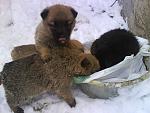     
: DSC01071.jpg
: 76
:	134.4 
ID:	2153745