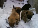     
: DSC01091.jpg
: 70
:	119.7 
ID:	2153751