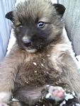     
: DSC01058.jpg
: 57
:	96.2 
ID:	2153756