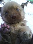     
: DSC01065.jpg
: 55
:	58.7 
ID:	2153757