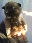     
: DSC01057.jpg
: 51
:	88.0 
ID:	2153762