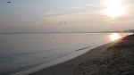     
: IMG_3142.jpg
: 35
:	65.8 
ID:	2154012