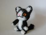     
: DSCN6419.JPG
: 6
:	139.7 
ID:	2156399