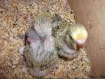     
: DSCF1155.jpg
: 54
:	70.8 
ID:	2158458