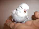     
: DSCF1153.jpg
: 46
:	59.0 
ID:	2158464