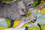     
: IMG_6570.jpg
: 21
:	76.1 
ID:	2160301