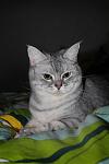     
: IMG_6584.jpg
: 23
:	51.0 
ID:	2160302