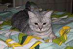     
: IMG_6571.jpg
: 23
:	71.5 
ID:	2160303