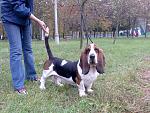    
: 38254 (2).jpg
: 17
:	154.7 
ID:	216306