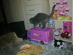     
: Фото4362.jpg
: 55
:	111.1 
ID:	2165258
