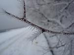     
: DSC06940.jpg
: 72
:	63.9 
ID:	2167949