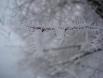     
: DSC06941.jpg
: 65
:	57.9 
ID:	2167950