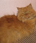     
: IMG_0781.jpg
: 156
:	97.7 
ID:	2171466