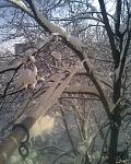     
: Фото062.jpg
: 70
:	148.1 
ID:	2175183