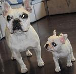     
: IMG_2151.jpg
: 74
:	94.3 
ID:	2175502